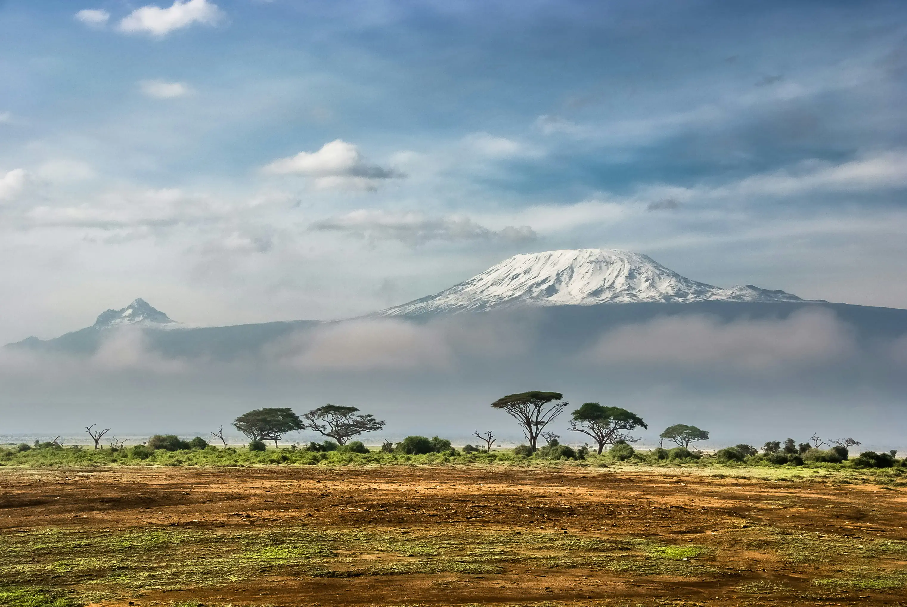 Amboseli highlight 2