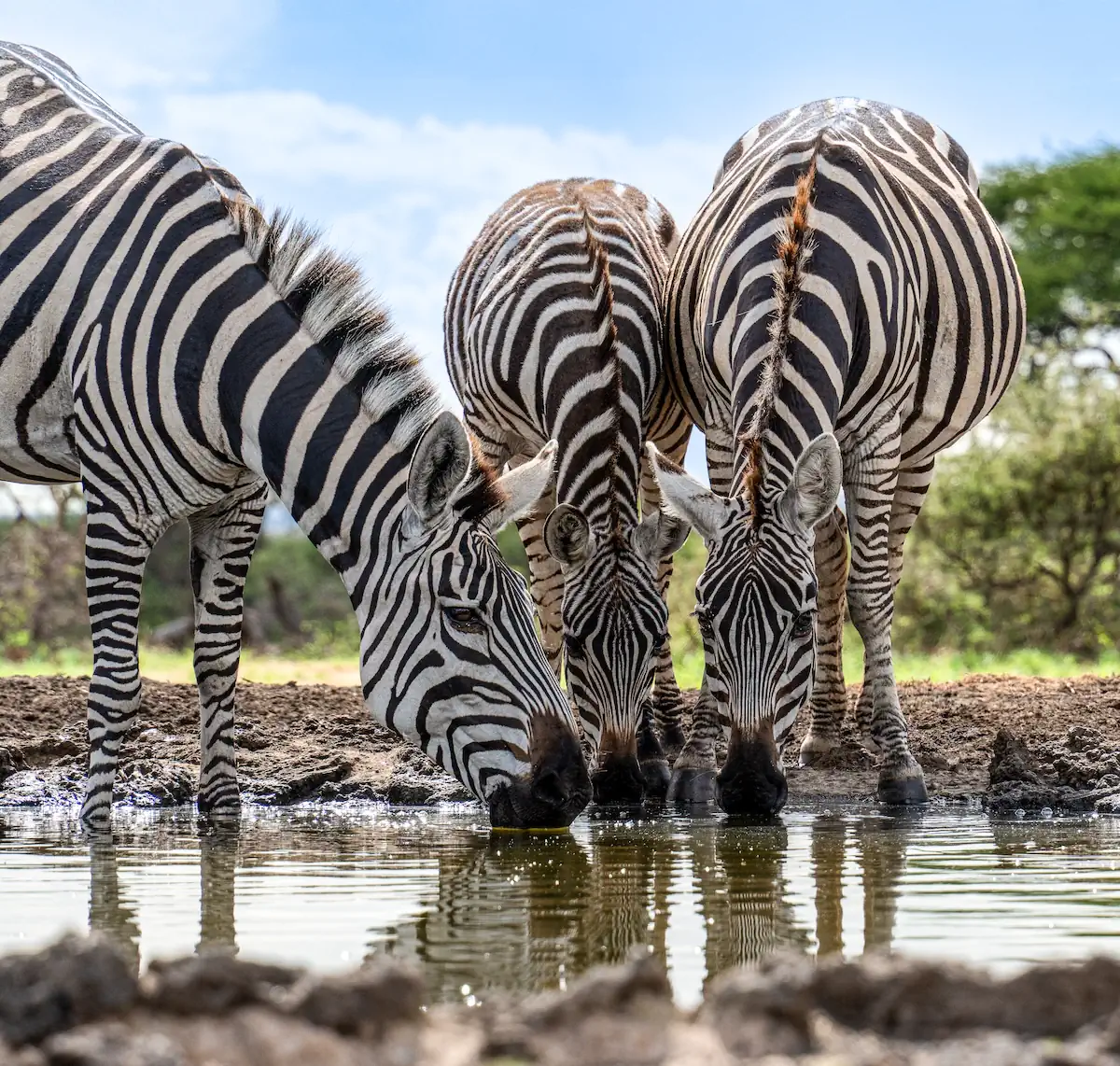 Laikipia highlight 3
