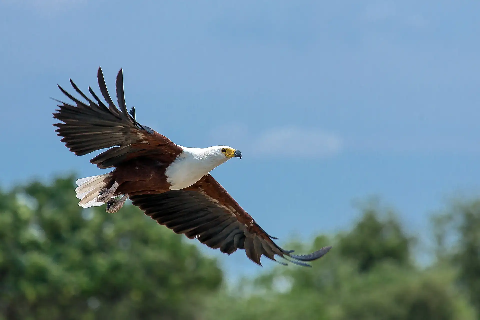 Lake Nakuru National Park highlight 2